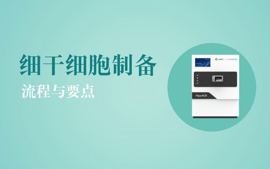 干细胞制备流程与质控